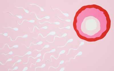 Book Review: It Starts with the Egg