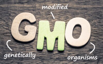 Do GMOs cause infertility?