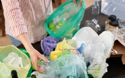 Phthalates Impact Fertility and Fetal Development