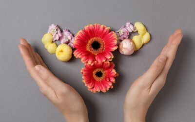 Seed Cycling for Hormonal Balance and Fertility
