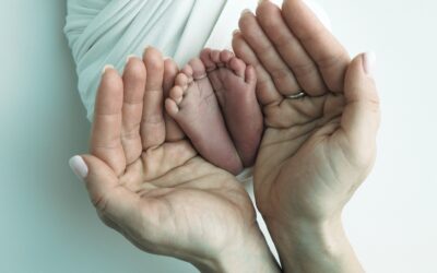 The economics of fertility optimization