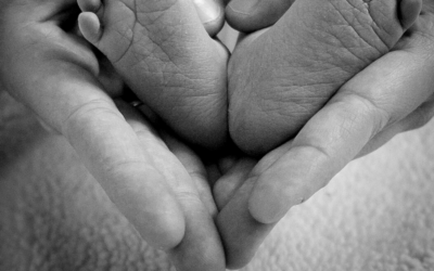 The economics of fertility optimization