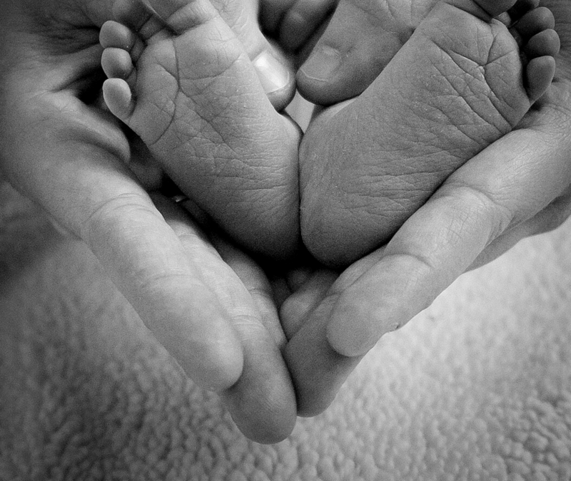 The economics of fertility optimization