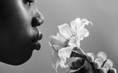 Cross-Pollinating PTSD Factors: The Intersection of Seasonal Allergic Rhinitis, Olfactory Memory, and Trauma